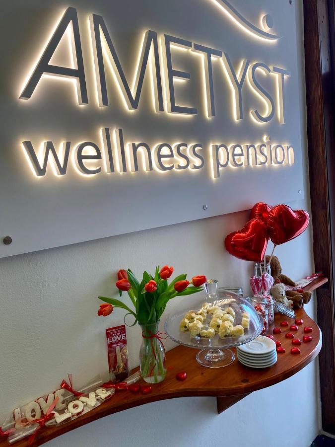 Wellness Pension Ametyst Aparthotel Český Krumlov Kültér fotó